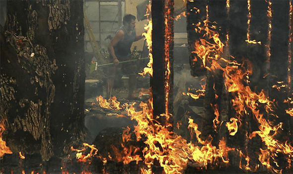 కాలిఫోర్నియాలో కార్చిచ్చు