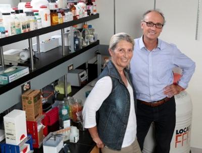 సోయాతో రొమ్ము కేన్సర్‌కు చెక్‌