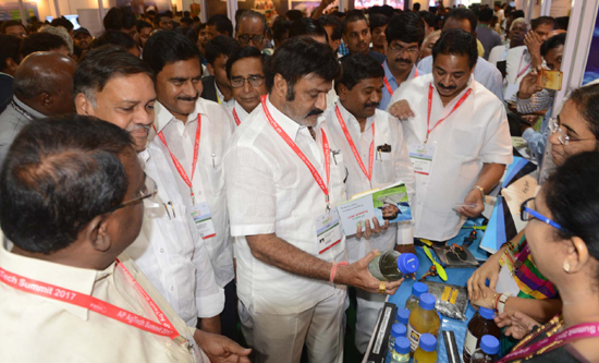 తక్కువ పెట్టుబడితో ఎక్కువ ఆదాయం