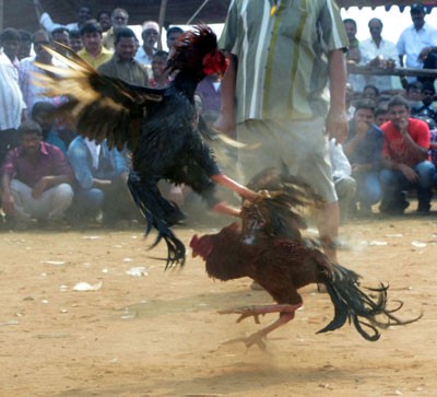 రూ.400 కోట్ల ఆట!