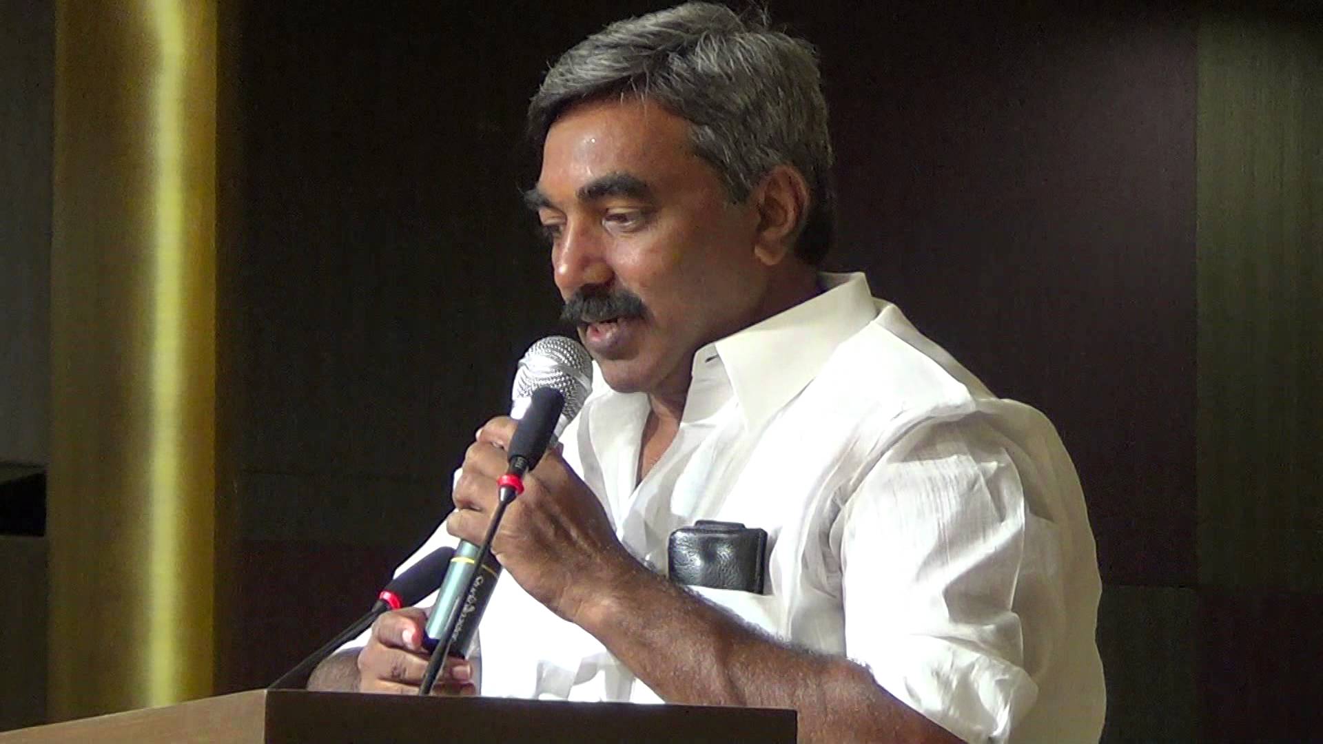 తెనాలిలో తెలుగు సంబరాలు