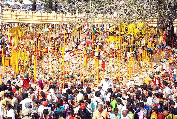 నేటి నుంచే మేడారం మహాజాతర