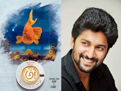 నాని సినిమాకు ఎన్నారైల ప్రశంసలు