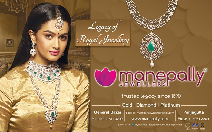 మానేపల్లిలో నిజాం మెఘల్‌ కలెక్షన్స్‌