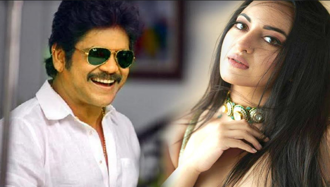 నాగార్జున ‘బంగార్రాజు’ సరసన బాలీవుడ్ హీరోయిన్ సోనాక్షి సిన్హా?