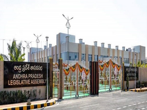 టీడీపీ మాక్ అసెంబ్లీ ఎందుకు?