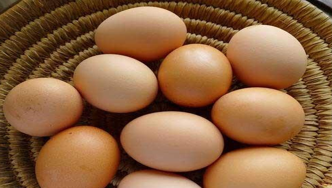 ఇండియాకు షాక్.. దిగుమతిని నిలిపివేసిన యూఎస్