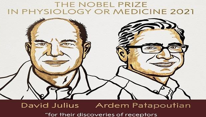 వైద్య శాస్త్రంలో ఇద్దరికి నోబెల్ బహుమతి