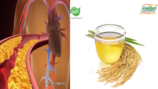 మీ గుండెకు అత్యుత్తమ నూనె