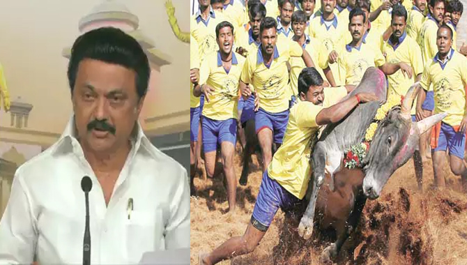 సీఎం స్టాలిన్ కీలక నిర్ణయం… జల్లికట్టుపై
