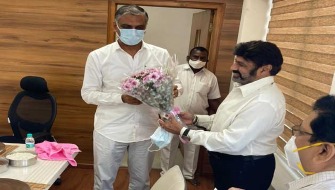 మంత్రి హరీశ్‌ రావుతో బాలకృష్ణ భేటీ