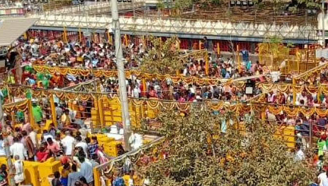 ఫిబ్రవరి 16 నుంచి సమ్మక్క, సారలమ్మ జాతర