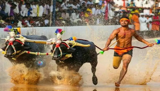 కంబళ వీరుడి అరుదైన ఘనత..