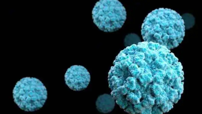 కేరళలో కొత్త వైరస్ కలకలం