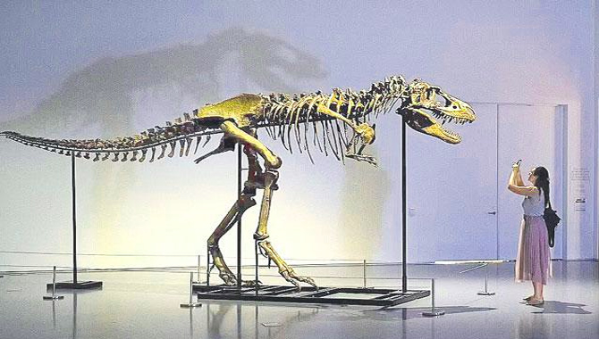 డైనోసార్ అస్థిపంజారానికి 49 కోట్లు డైనోసార్ అస్థిపంజారానికి 49 కోట్లు