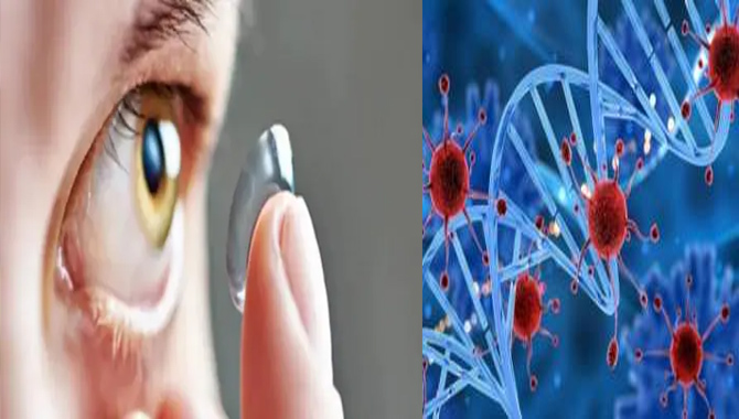 అమెరికా శాస్త్రవేతలు వినూత్న ఆవిష్కరణ