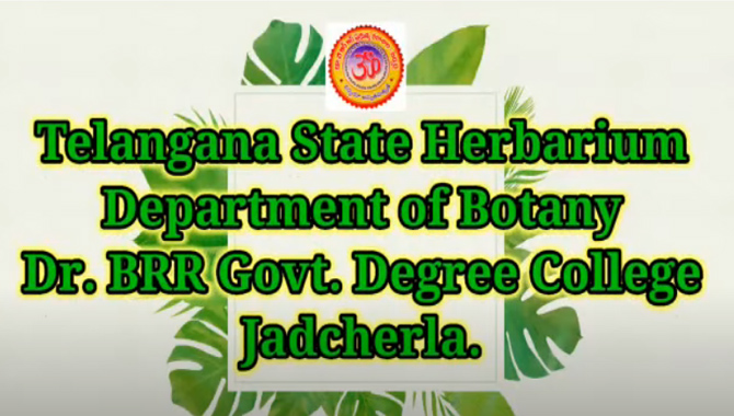 హెర్బేరియానికి అంతర్జాతీయ గుర్తింపు….