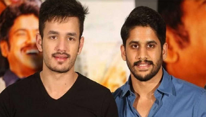 అక్కినేని హీరోలు ఈ సారైనా సాధిస్తారా?