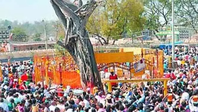 మినీ మేడారం జాతర తేదీలు ఖరారు