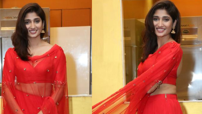 చదువుమాని సినిమాల్లో  హీరోయిన్ గా స్థిరపడిన తెలుగమ్మాయి ప్రియా వడ్లమాని