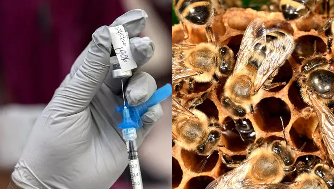 ప్రపంచంలోనే మొట్టమొదటిసారిగా… అమెరికాలో