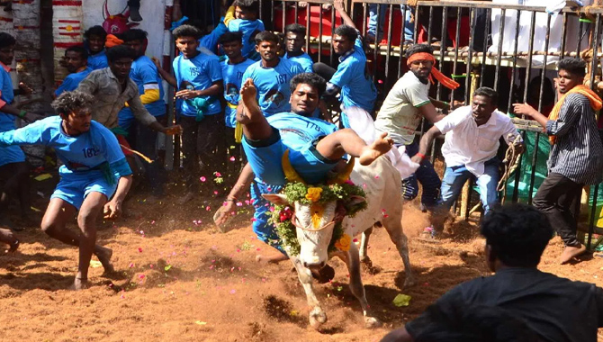 జల్లికట్టులో విషాదం