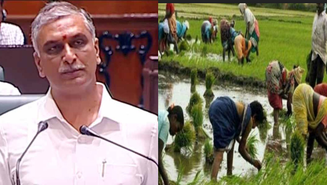 తెలంగాణ బడ్జెట్లో రైతు సంక్షేమం కోసం 26,831 కోట్లు! తెలంగాణ బడ్జెట్లో రైతు సంక్షేమం కోసం 26,831 కోట్లు!