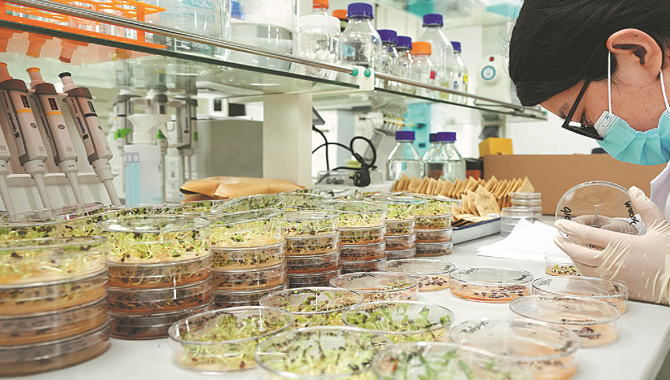 విత్తన పరిశోధన సంస్థ ఎపిలో