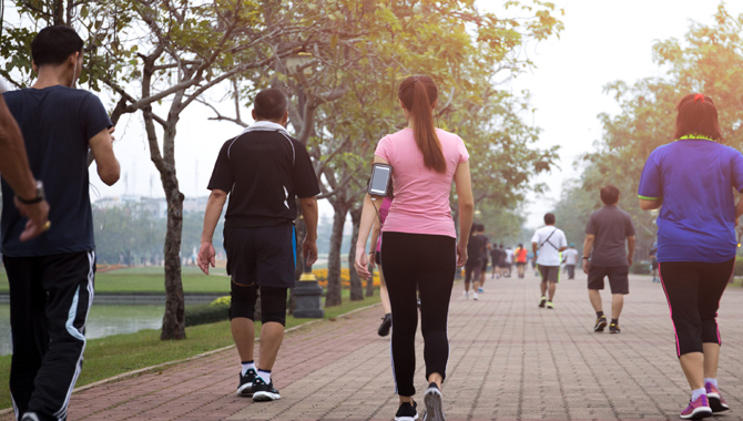 వారంలో ఒకటి రెండు రోజులు మాత్రమే…  8 వేల అడుగుల నడకతో