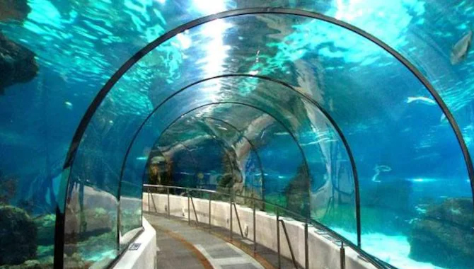 దేశంలోనే  తొలిసారిగా.. జలాంతర్భాగంలో