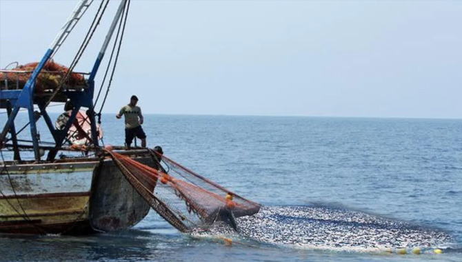 ఏపీలో చేపల వేటపై రెండు నెలల నిషేధం విధించిన ప్రభుత్వం