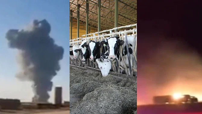 టెక్సాస్ లో భారీ ప్రమాదం