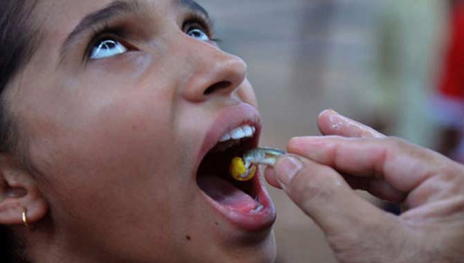 చేప ప్రసాదం పంపిణీకి ముహూర్తం ఖరారు