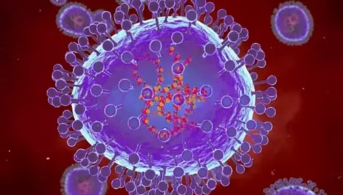 అమెరికాలో కొత్త వైరస్