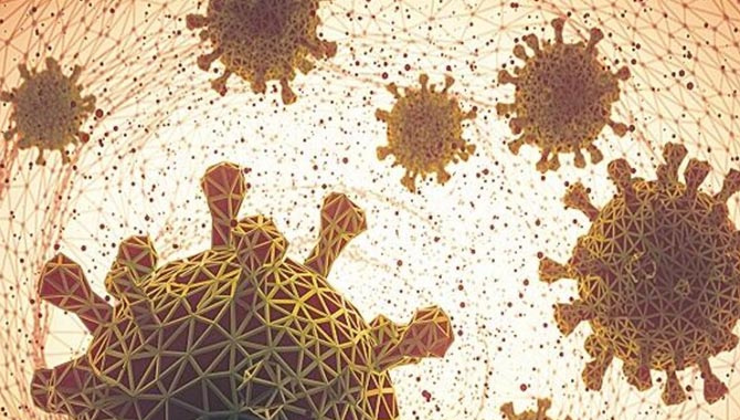 చిలీలో వెలుగు చూసిన కొత్త వైరస్