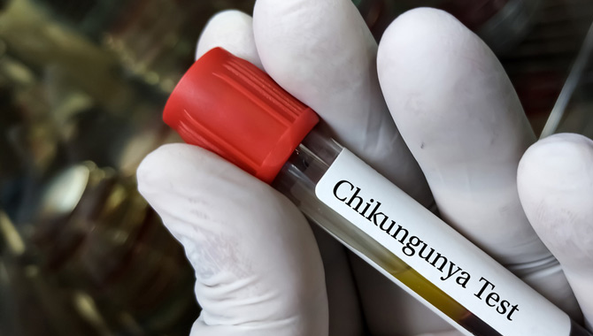 ప్రపంచంలోనే తొలిసారిగా.. ఆమోదించిన అమెరికా