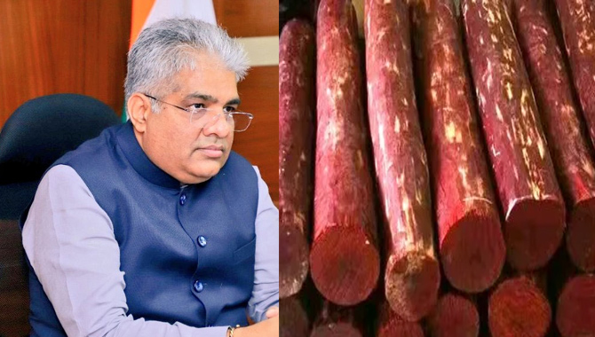 కేంద్రం సంచలన నిర్ణయం.. ఎర్రచందనంపై