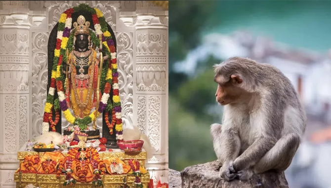 అయోధ్య రామాలయంలోకి అనుకోని అతిథి