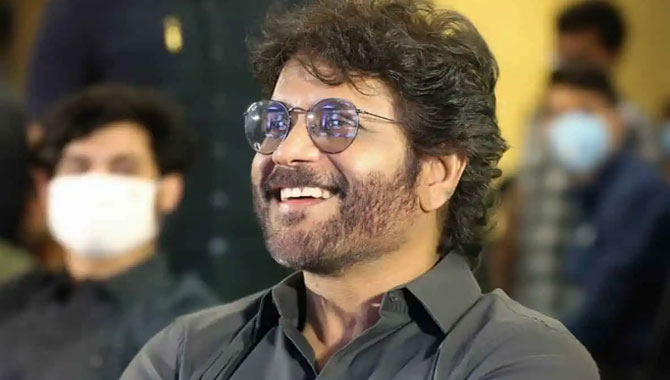 నెక్ట్స్ సంక్రాంతికి నాగ్ ప్లాన్