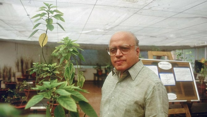 హరిత విప్లవ పితకు భారతరత్న…