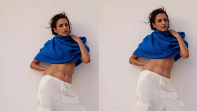 ఇన్న‌ర్ అందాల‌ను ఎలివేట్ చేస్తున్న త్రిప్తి డిమ్రీ