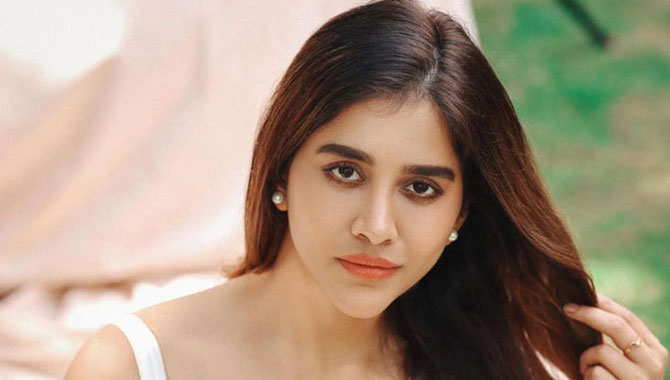 ఇస్మార్ట్ హీరోయిన్ కు బంప‌రాఫ‌ర్