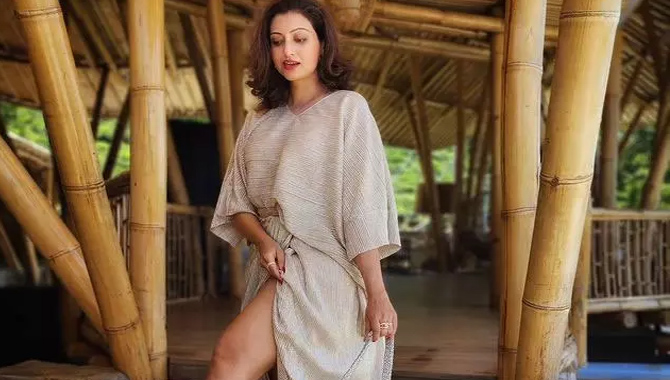 హంసా నందిని థైస్ షో