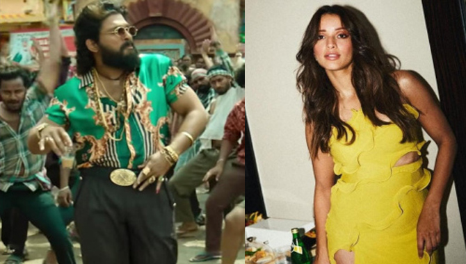 పుష్ప‌రాజ్ తో యానిమ‌ల్ బ్యూటీ స్పెష‌ల్ సాంగ్