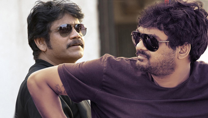 నాగ్ కోసం ట్రై చేస్తున్న పూరీ