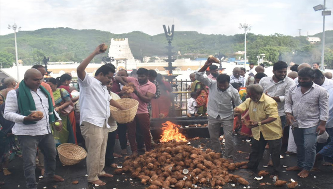తిరుమలలో బాలకృష్ణ జన్మదిన వేడుకలు..