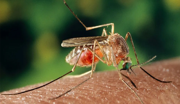 అమెరికాను వణికిస్తున్న ట్రిపుల్‌ ఈ