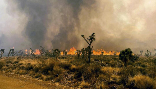 కాలిఫోర్నియా, నెవాడాలో అత్యవసర పరిస్థితి