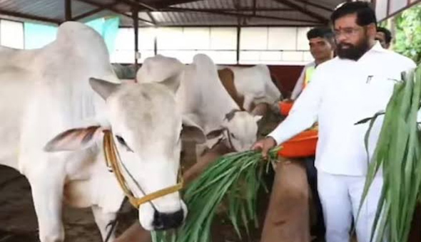 మహారాష్ట్ర ప్రభుత్వం కీలక నిర్ణయం