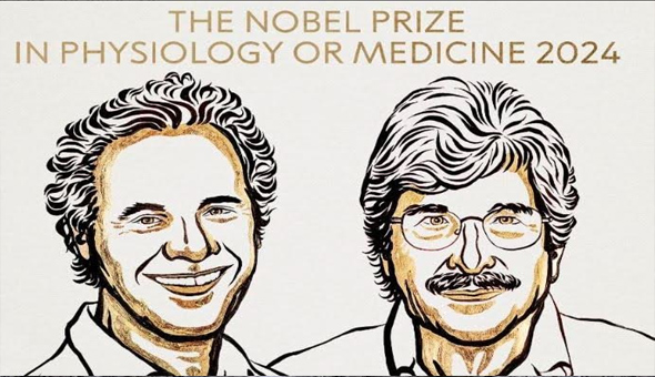 మెడిసిన్ లో నోబెల్ అవార్డ్ -2024 గ్రహీతలు మెడిసిన్ లో నోబెల్ అవార్డ్ -2024 గ్రహీతలు